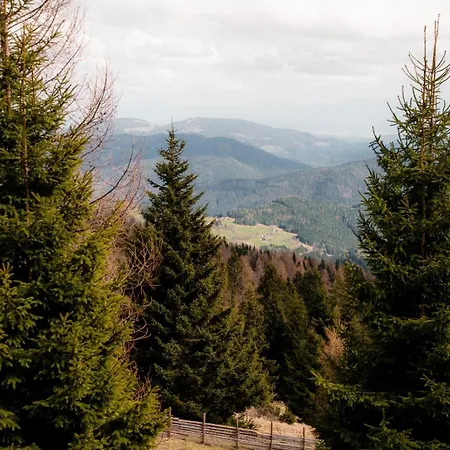 Ferienunterkunft Mit Sauna Direkt An Der Skipiste Apartmán *