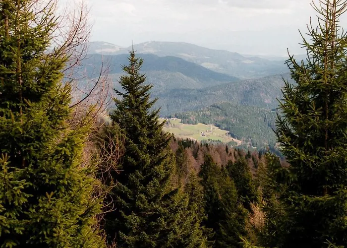 Ferienunterkunft Mit Sauna Direkt An Der Skipiste Apartament *